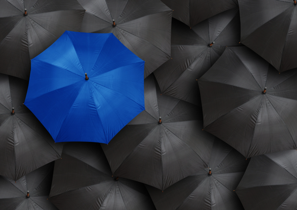 Umbrella Liability Has Shifted | Owen Daniels | Powering Global STEM